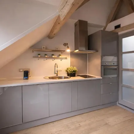 Place Des Vosges 公寓 巴黎