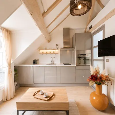 Apartment Place Des Vosges