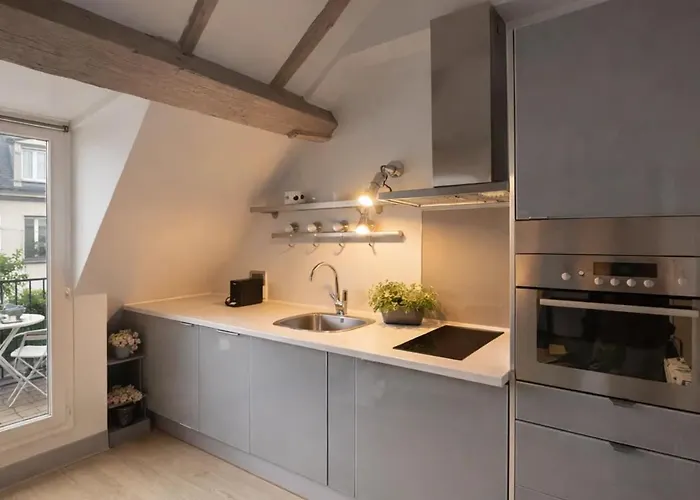 Place Des Vosges Apartment Paris